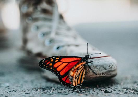 28 inspirational quotes to change your life