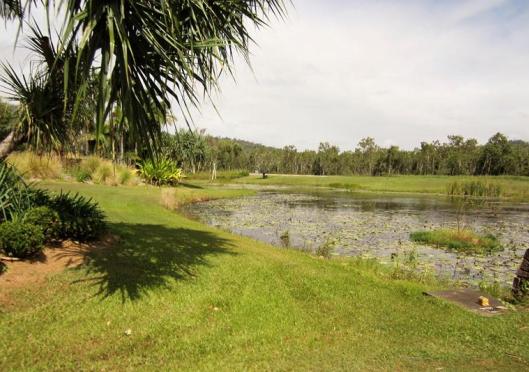 The science behind some Aboriginal medicines