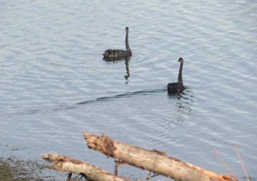 A quest for uncluttered Christianity