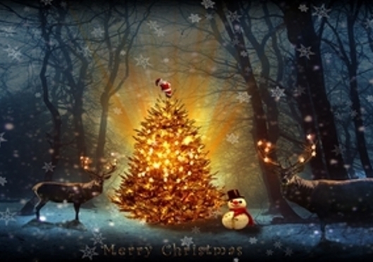 Christmas brings the hope we all need