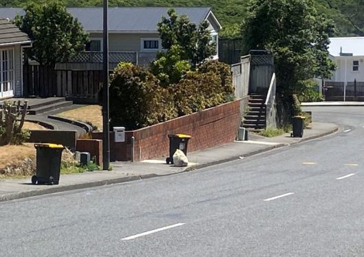 Thank God for wheelie bin robots