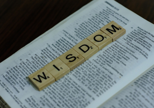 Wisdom’s call